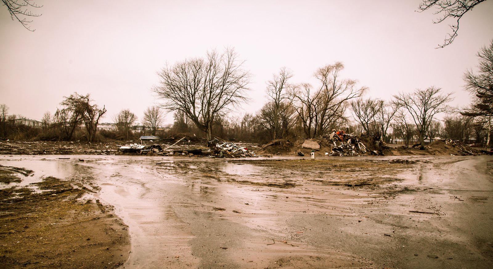 art-of-sandy-mo-staten island 2-14.jpg